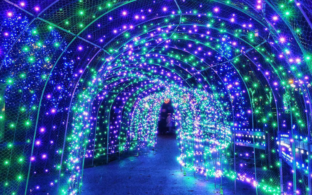 LightatLafarge_credit_fyvr4-1dotCom